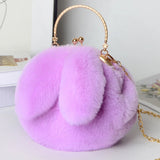 Cute Plush Rabbit Crossbody Bags for Women Korean Version Cute Purses