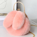 Cute Plush Rabbit Crossbody Bags for Women Korean Version Cute Purses